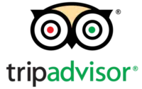 TripAdvisor Reviews